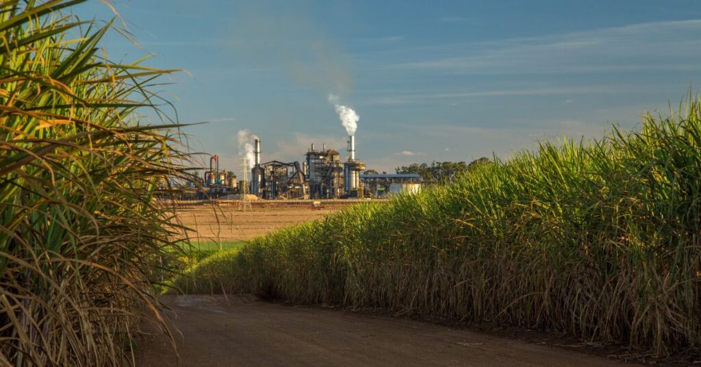 stainless steel solutions for sugar mills