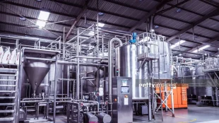 Food-Processing-1.webp